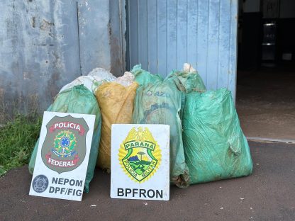 Imagem referente a “Da boa!!” PF e BPFron apreendem sacos carregados com maconha capulho