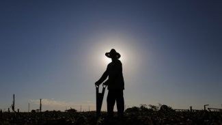 Adesão obrigatória da nota fiscal eletrônica do produtor rural é prorrogada para julho