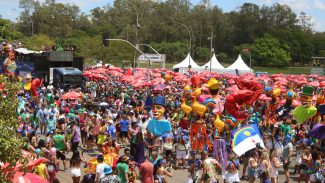 Carnaval paulistano terá mais de 800 desfiles oficiais de blocos