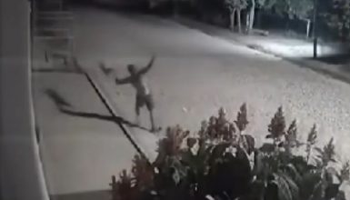 Imagem referente a Imagens perturbadoras: Homem mata e queima cadela no meio da rua