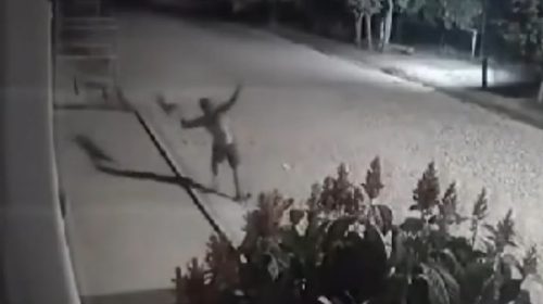 Imagem referente a Imagens perturbadoras: Homem mata e queima cadela no meio da rua