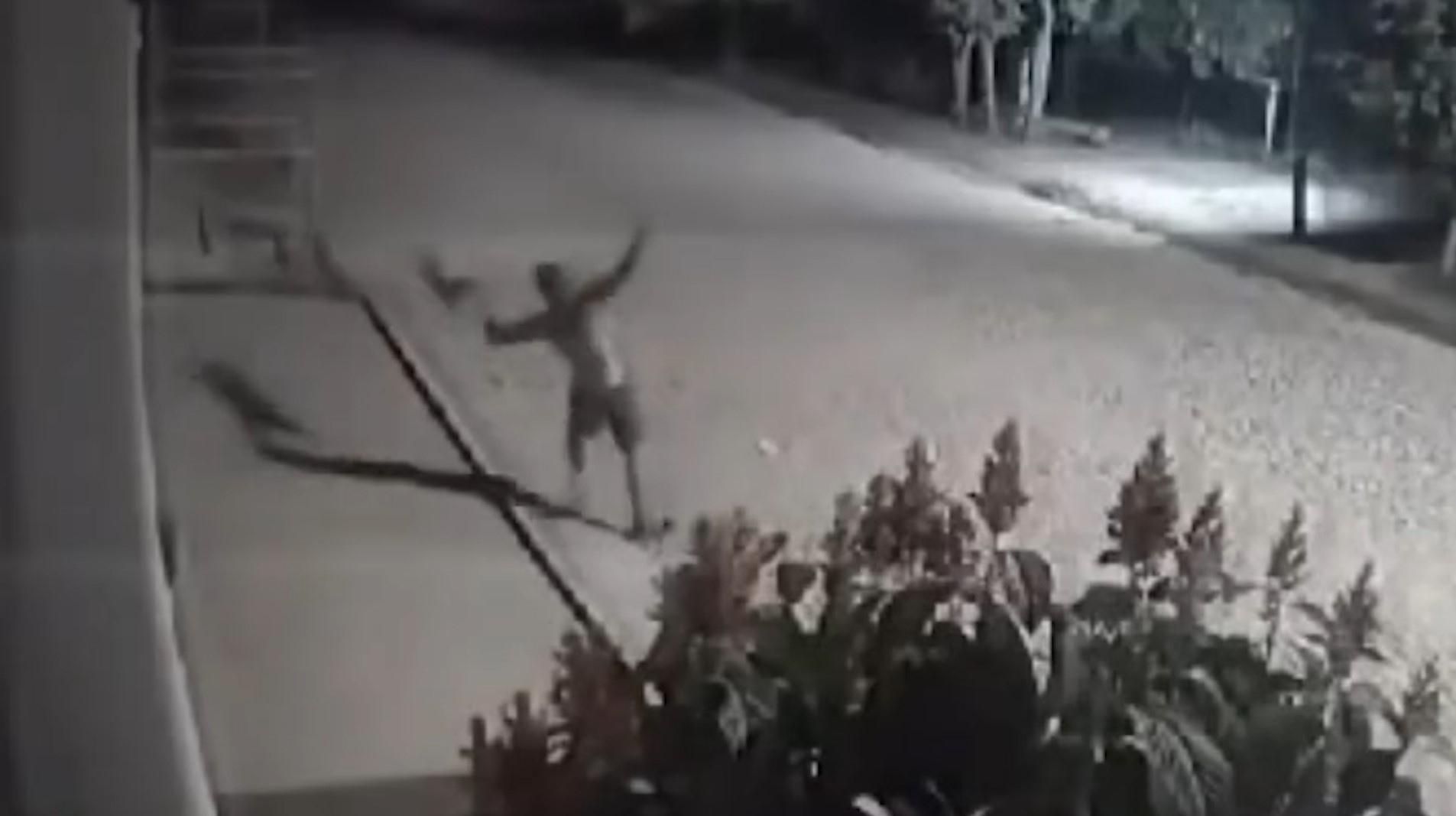 Imagens perturbadoras: Homem mata e queima cadela no meio da rua Imagens perturbadoras: Homem mata e queima cadela no meio da rua