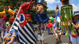 Carnaval de rua de São Paulo bate recorde, com 767 blocos inscritos