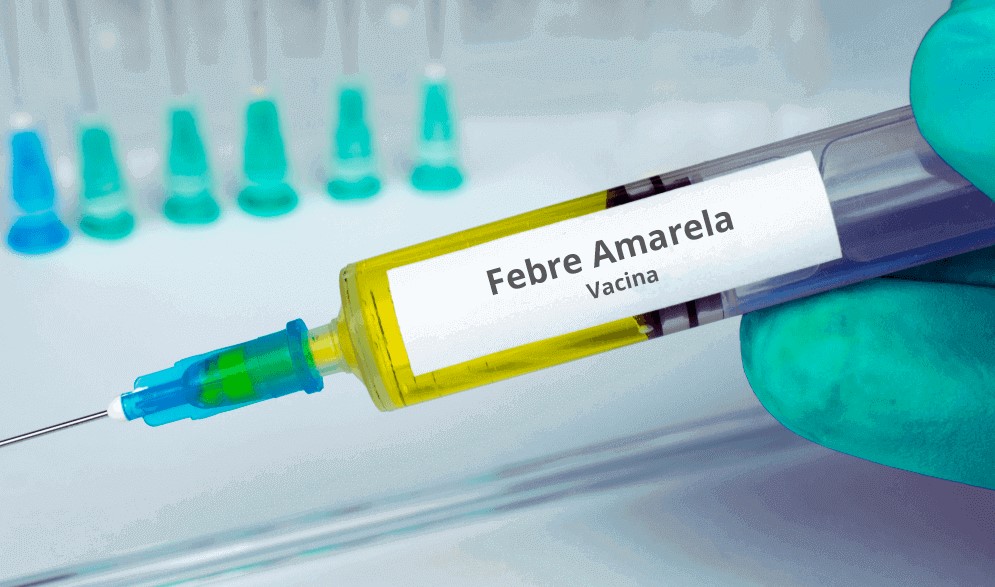 Cascavel enfrenta desabastecimento de vacina contra Febre Amarela Cascavel enfrenta desabastecimento de vacina contra Febre Amarela