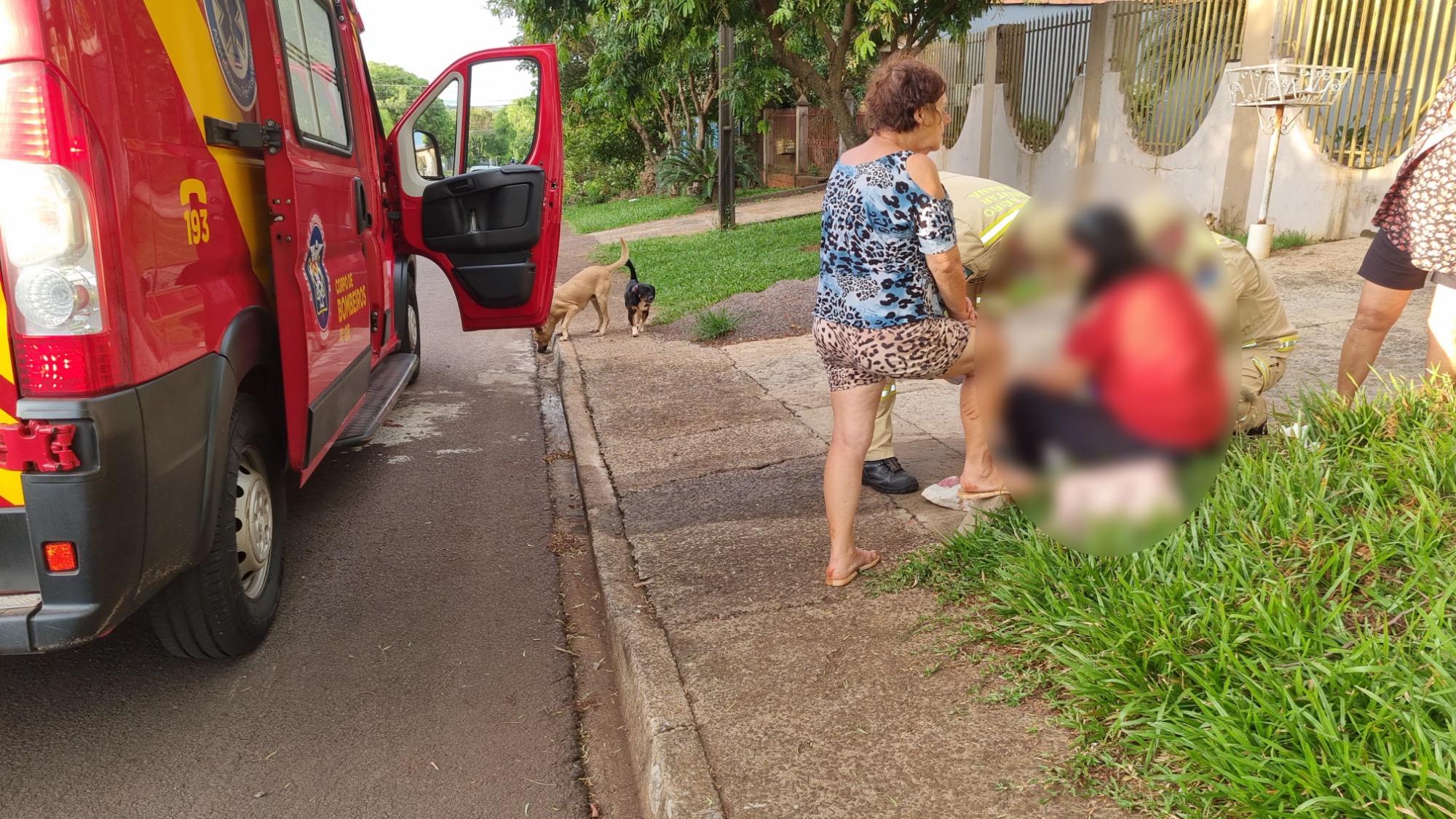 Ataque de Chow-Chow deixa mulher ferida em Cascavel