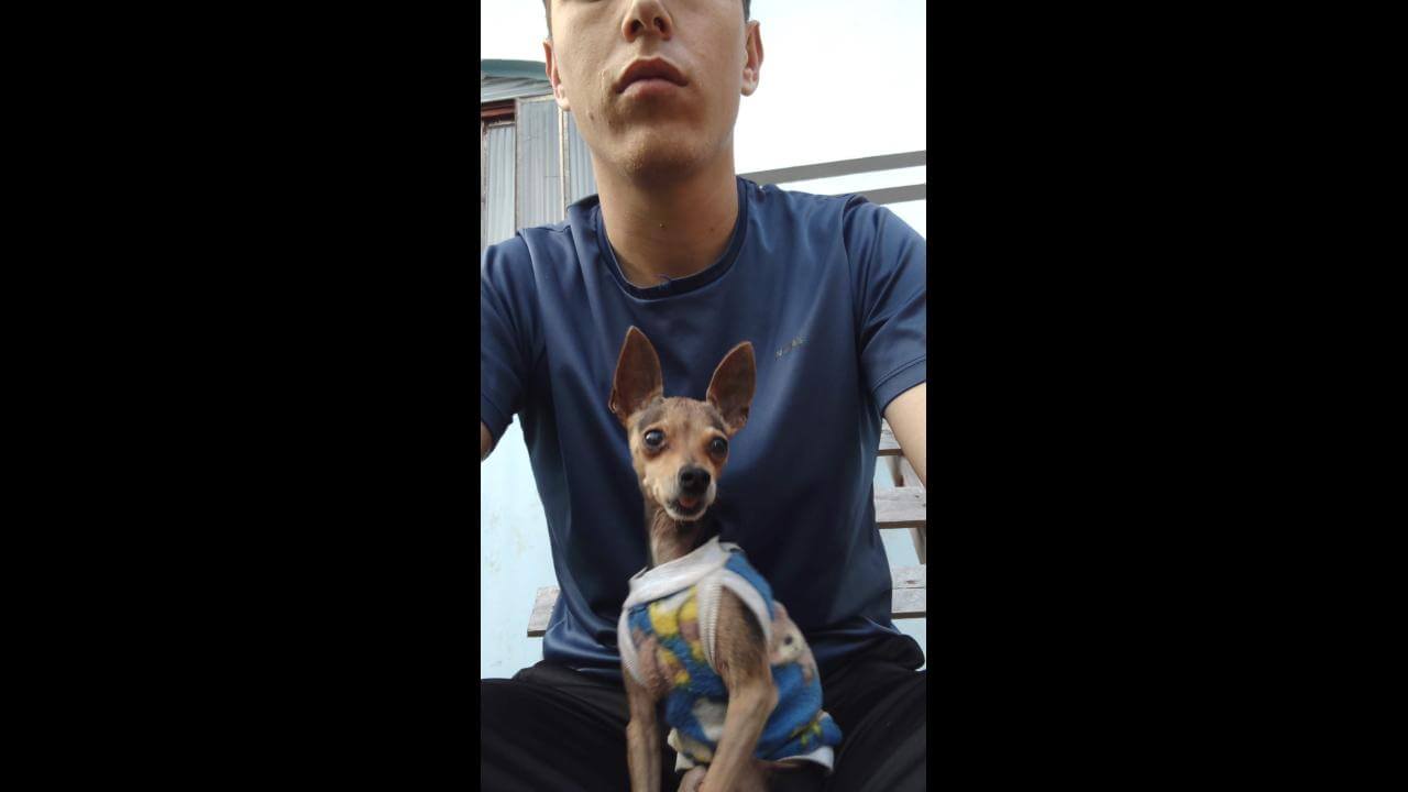 Cachorro Pipoca desapareceu no bairro Santa Cruz