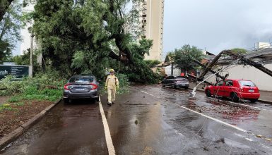 Imagem referente a Urgente: Temporal derruba árvore e postes no Centro de Cascavel