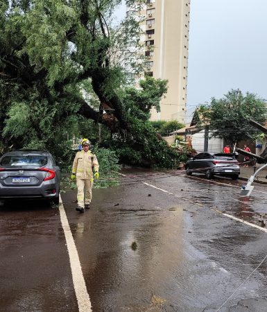 Imagem referente a Urgente: Temporal derruba árvore e postes no Centro de Cascavel