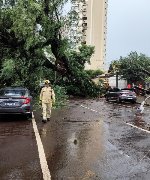 Imagem referente a Urgente: Temporal derruba árvore e postes no Centro de Cascavel