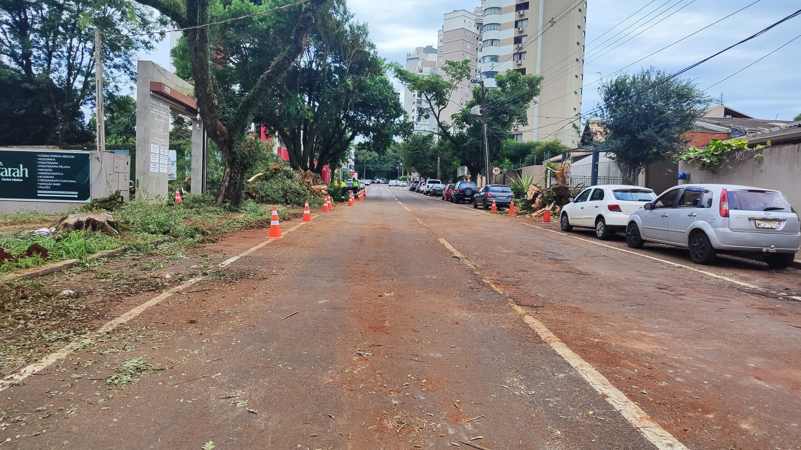 Vias são liberadas e trânsito segue normal após corte e poda da árvore que caiu na rua Mato Grosso Vias são liberadas e trânsito segue normal após corte e poda da árvore que caiu na rua Mato Grosso