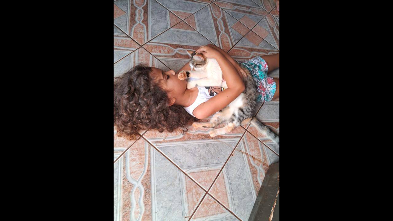 Gata Marcia desapareceu no bairro Brasília