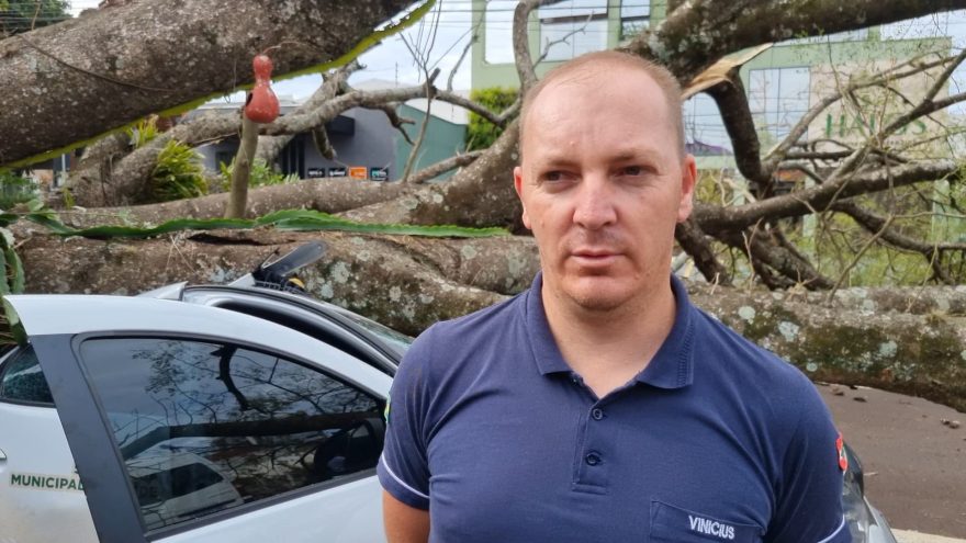“Acordei com o barulho da árvore”, diz motorista que estava dormindo dentro de carro esmagado no Centro