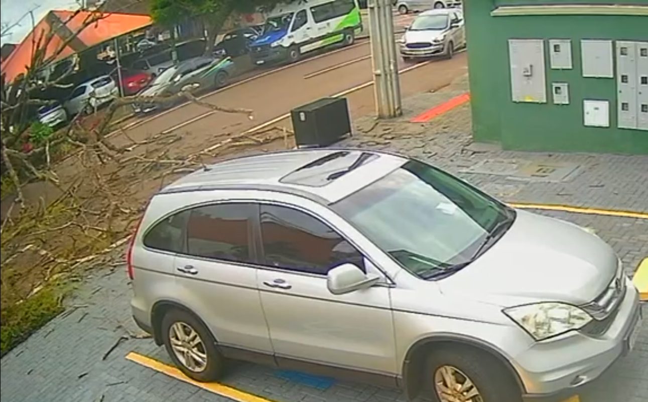Vídeo mostra momento em que árvore cai e esmaga carro no Centro de Cascavel