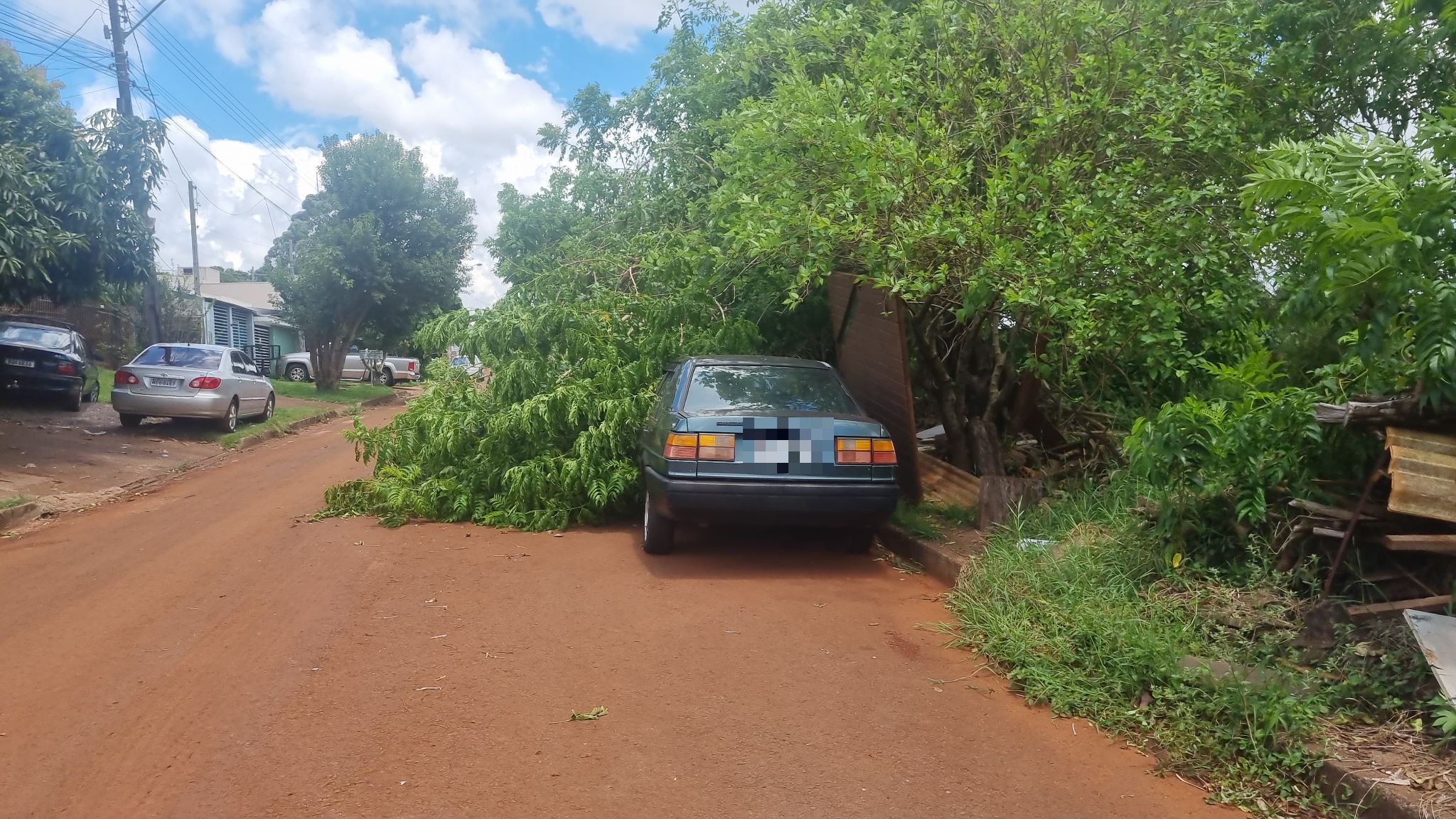 Mais uma árvore cai e atinge carro em Cascavel