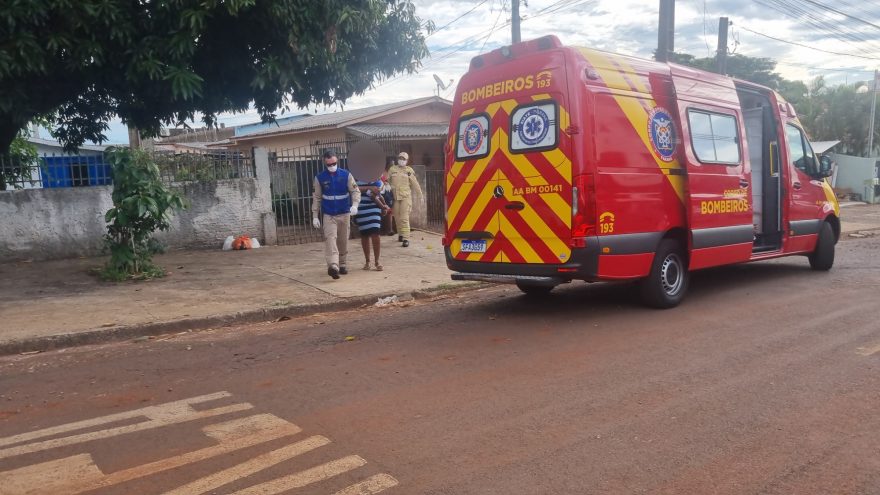 Cachorro ataca criança de um ano no Bairro Coqueiral em Cascavel