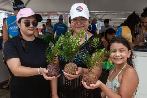 Veranistas aprendem a fazer vaso de plantas com fibra de coco em oficina no Verão Maior