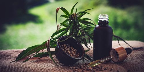 São Paulo veta PL que amplia acesso a itens de cannabis medicinal Imagem referente a São Paulo veta PL que amplia acesso a itens de cannabis medicinal