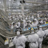 Imagem referente a 31 mil vagas: indústria do Paraná é segunda que mais gerou empregos em 2024