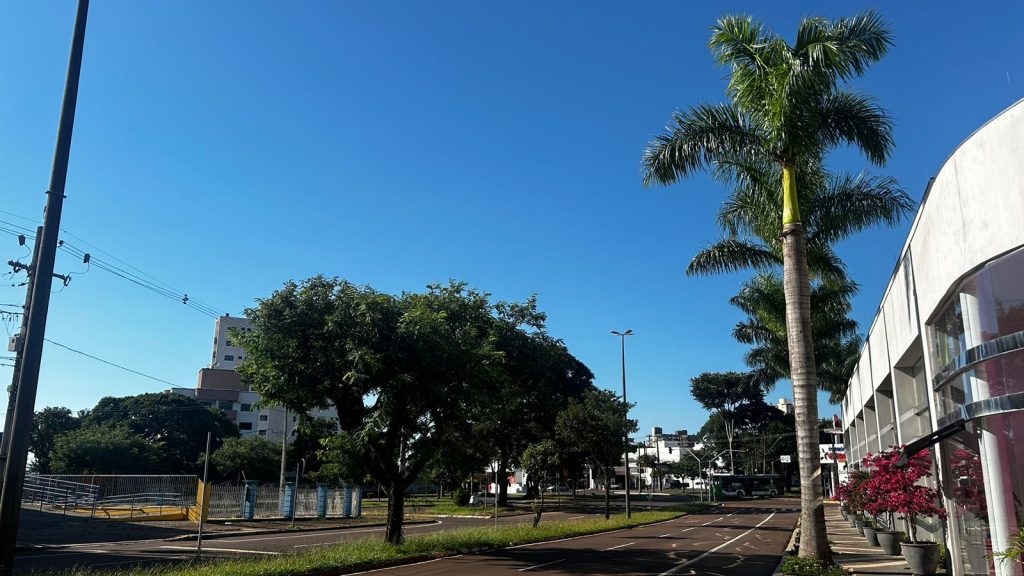 Céu de brigadeiro neste domingo com previsão de temperatura máxima de 29º