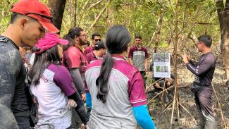 Educação ambiental aproxima estudantes do maior manguezal do planeta