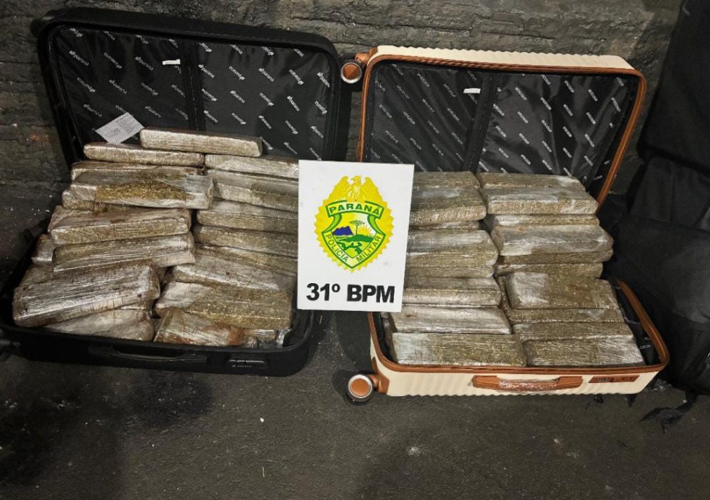 Passageira é flagrada transportando 52 kg de maconha em ônibus interestadual na BR-369