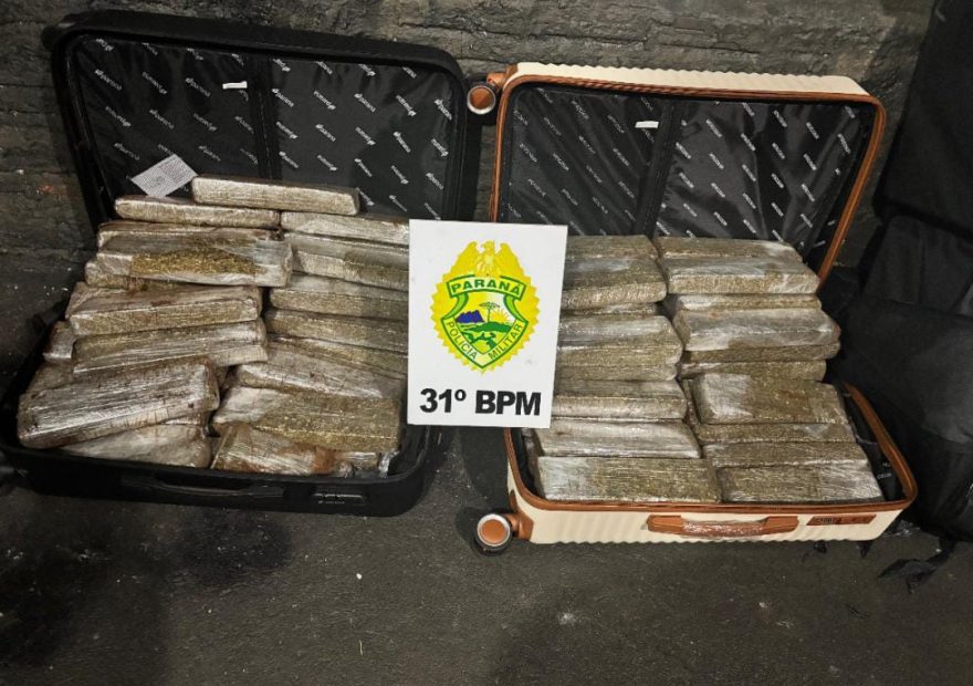 Passageira é flagrada transportando 52 kg de maconha em ônibus interestadual na BR-369