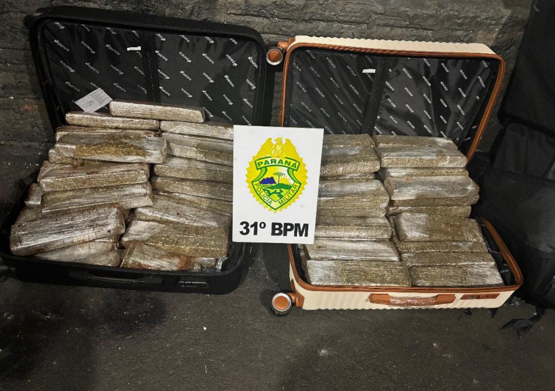 Passageira é flagrada transportando 52 kg de maconha em ônibus interestadual na BR-369