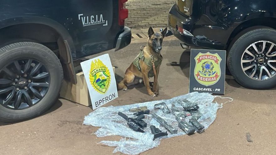 Pistolas e Fuzis são apreendidos em Cascavel