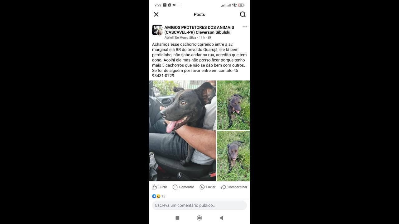 Cachorro é encontrado no bairro Guarujá Cachorro é encontrado no bairro Guarujá