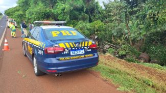 Caminhoneiro morto em acidente na BR-277 é identificado