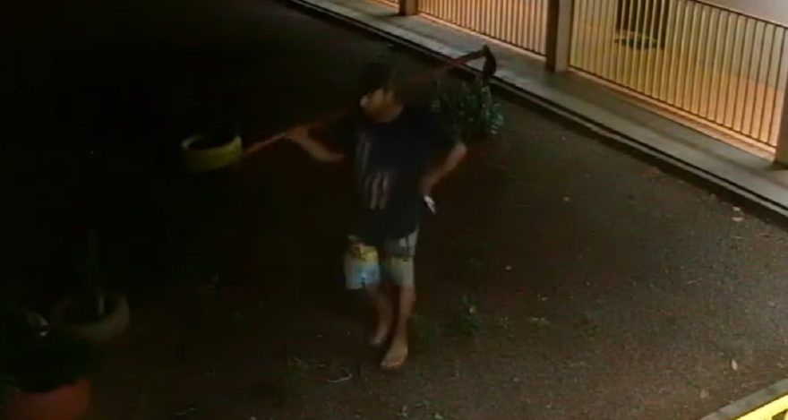 Câmeras flagram ação criminosa na Escola Municipal Inglacir Lourdes Farina