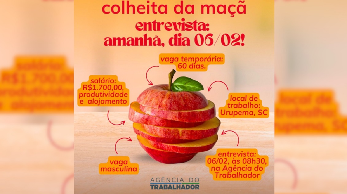 Colheita da Maçã em Santa Catarina: Agência do Trabalhador realiza entrevistas na quinta-feira (06)