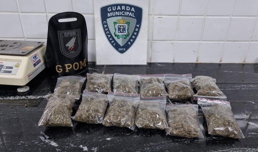 GM prende suspeito de tráfico de drogas e violência doméstica no Jardim União