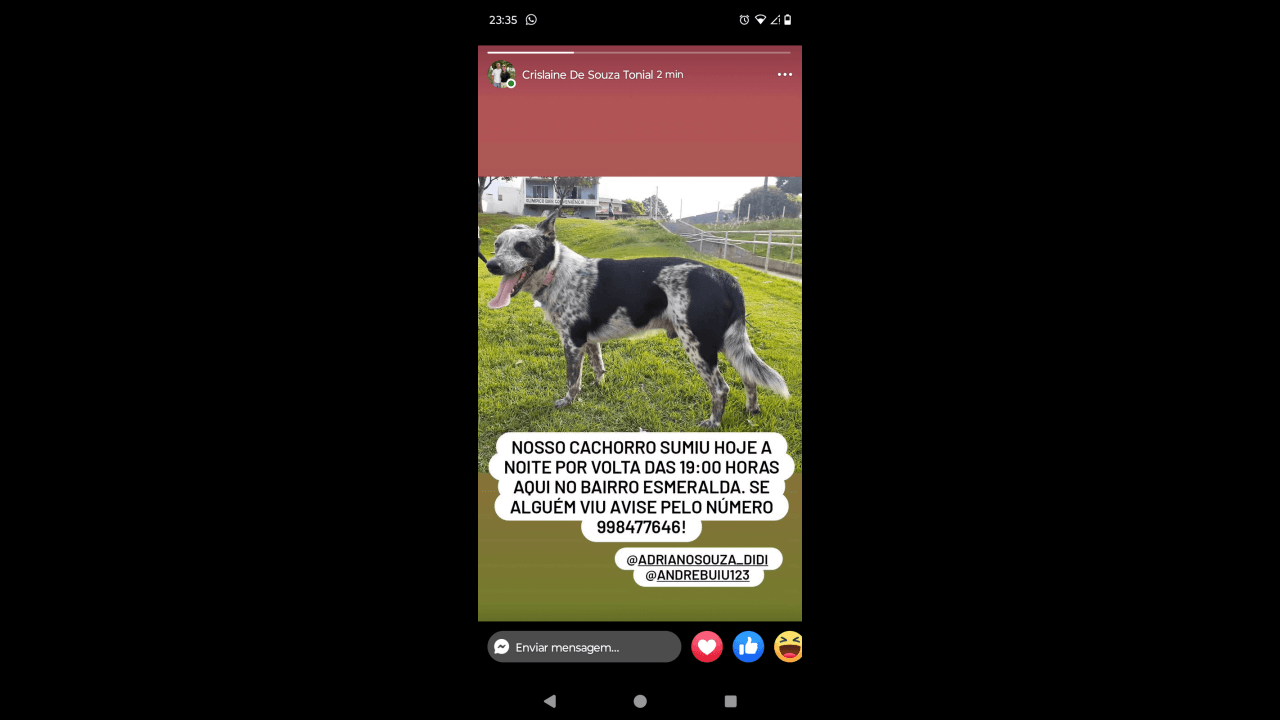 Cachorro Snoopy desapareceu no bairro Esmeralda