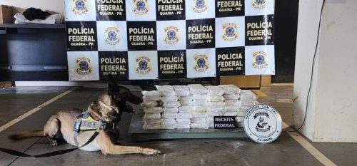 Polícia apreende 50kg de cocaína em operação conjunta na Ponte Ayrton Senna Imagem referente a Polícia apreende 50kg de cocaína em operação conjunta na Ponte Ayrton Senna