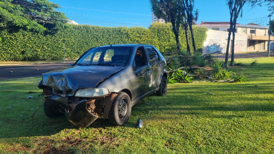 Palio invade canteiro na Avenida Tancredo Neves e deixa rastro de destruição