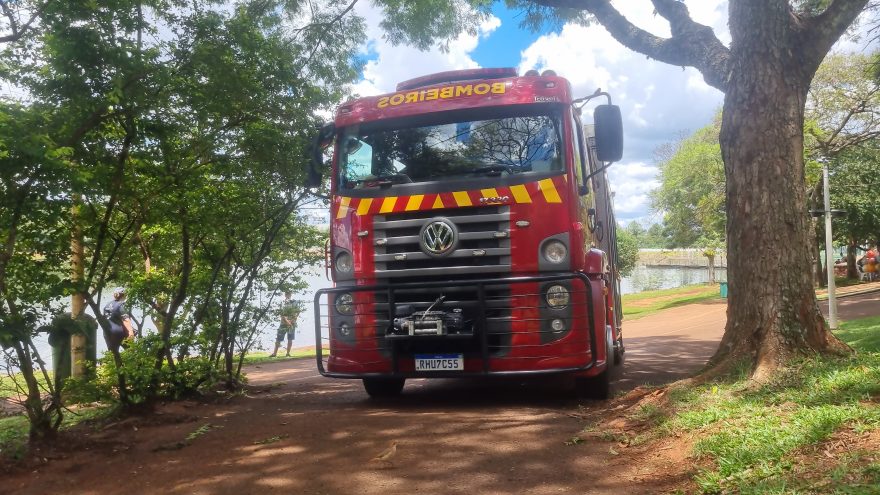 Queda de árvore mobiliza Bombeiros no Lago Municipal