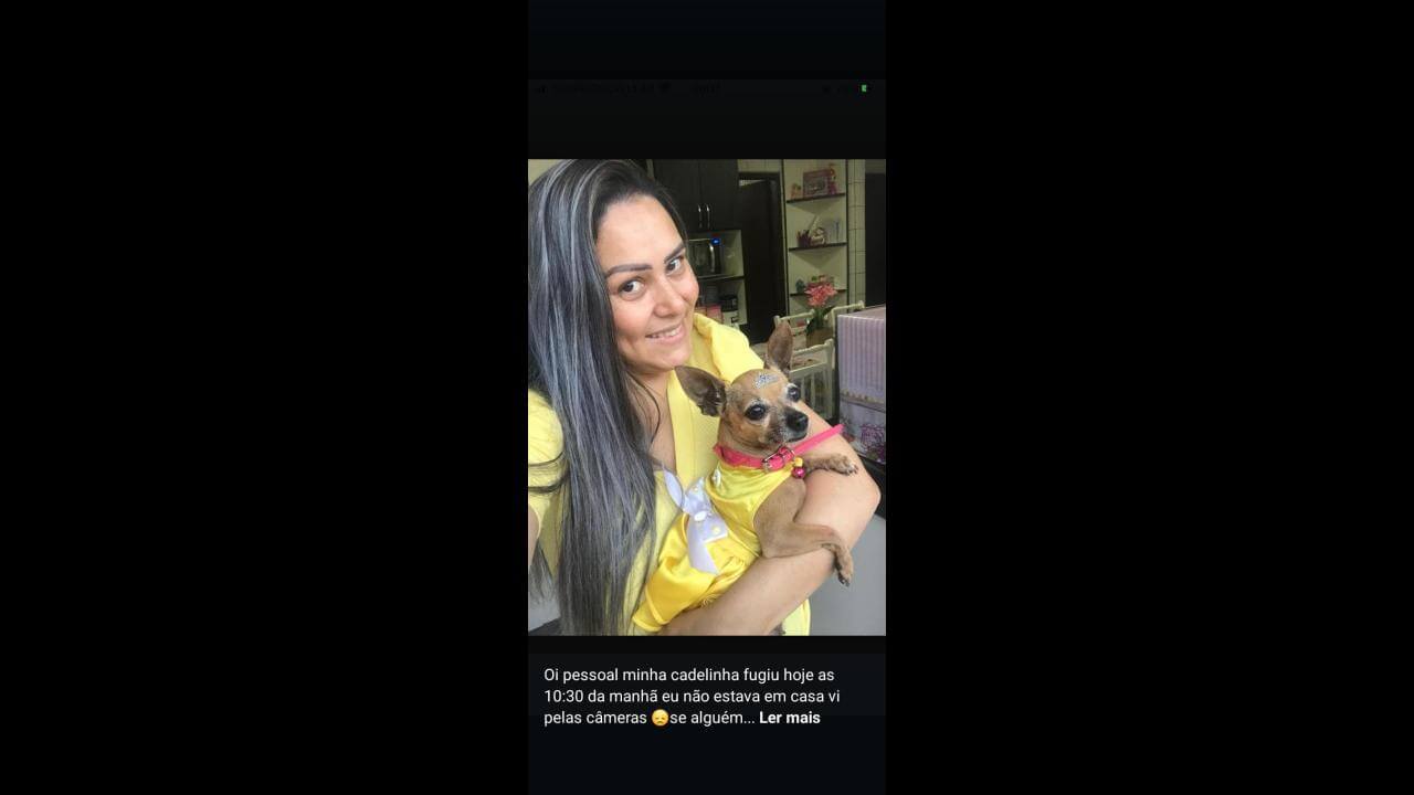 Cachorra Bela desapareceu no bairro Santa Felicidade Cachorra Bela desapareceu no bairro Santa Felicidade