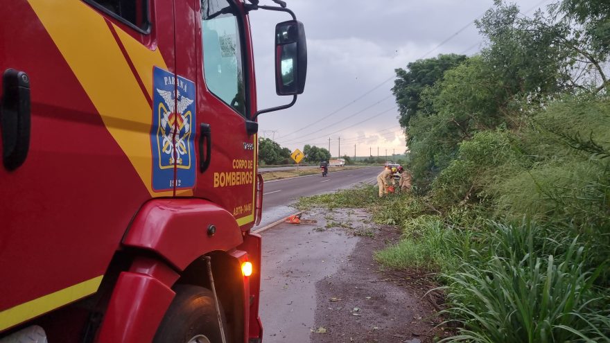 Árvores caem na BR-163 e Corpo de Bombeiros é mobilizado