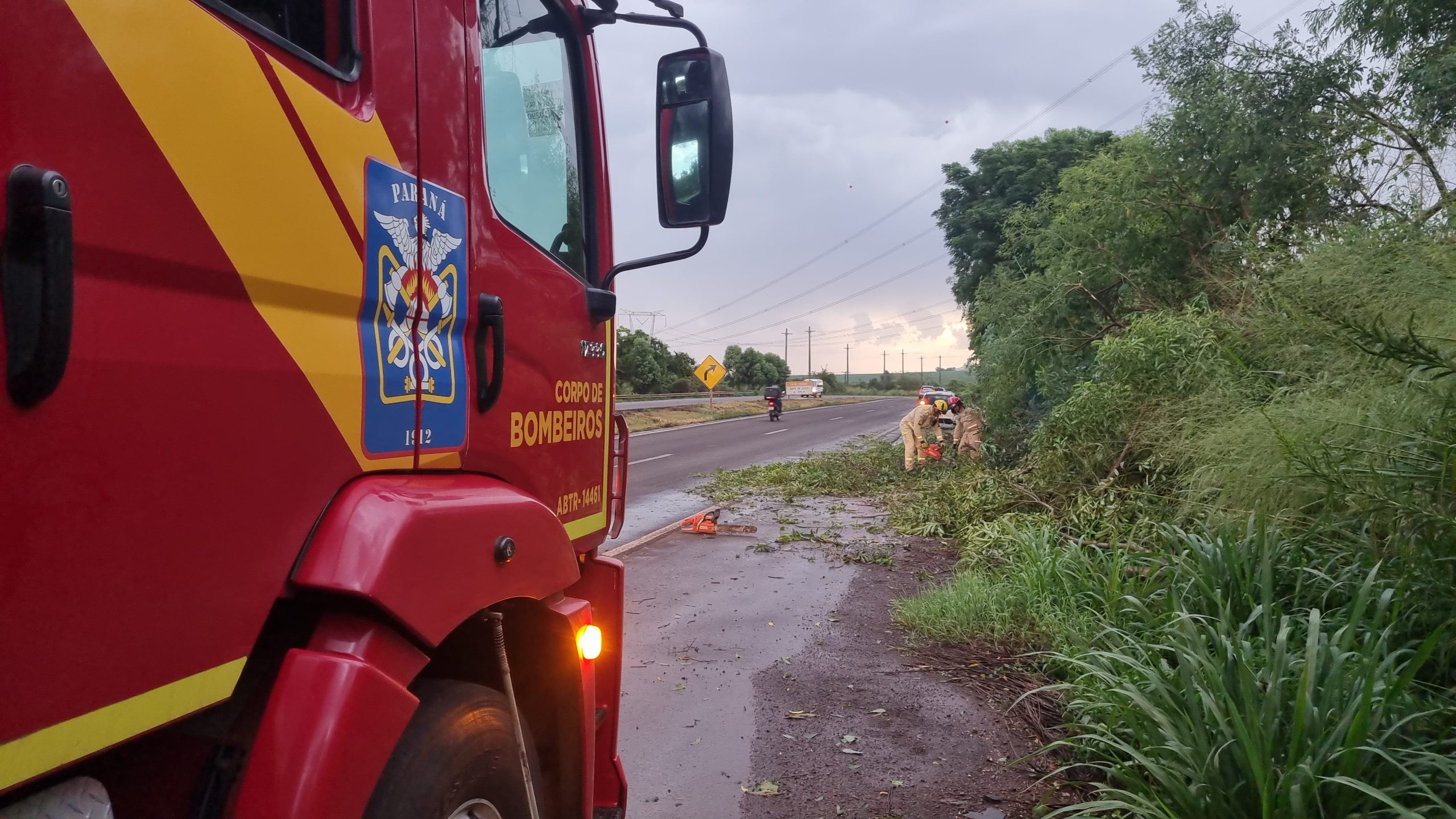 Árvores caem na BR-163 e Corpo de Bombeiros é mobilizado