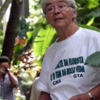 Imagem referente a Dorothy Stang, morta há 20 anos, deixou legado de luta, diz ativista  