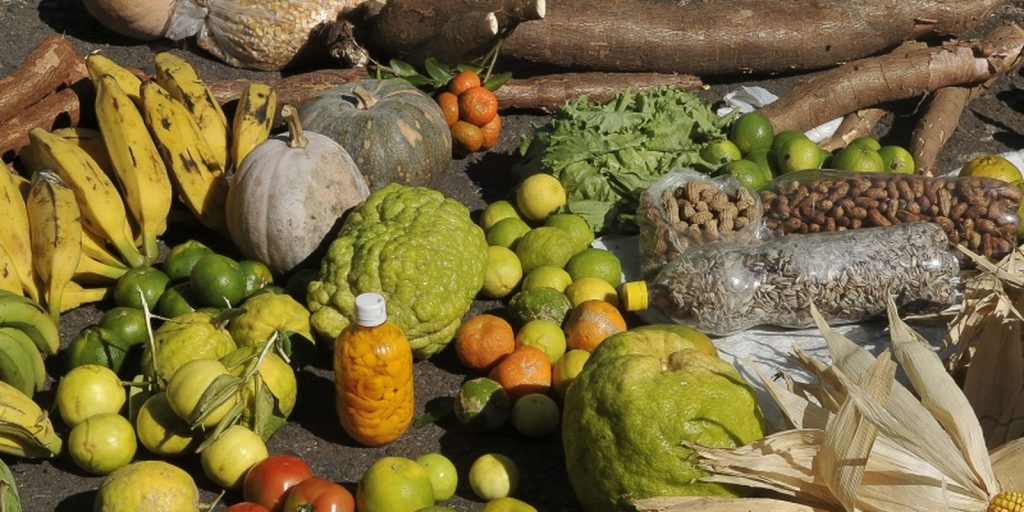 Cascavel abre edital para aquisição de alimentos de agricultura familiar para escolas Cascavel abre edital para aquisição de alimentos de agricultura familiar para escolas