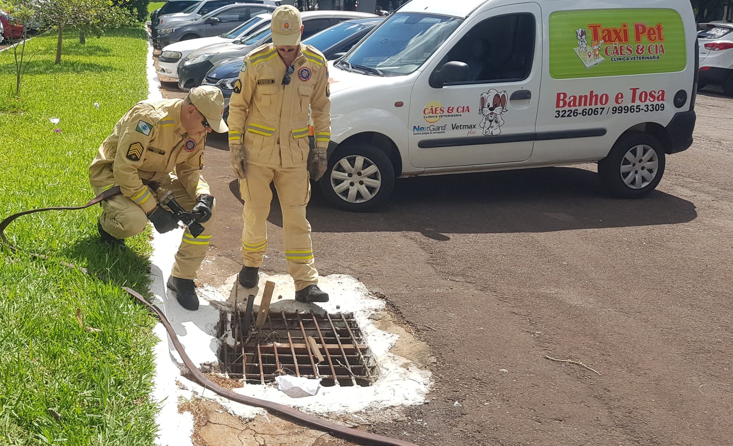 Gato preso em bueiro mobiliza Corpo de Bombeiros na Unioeste Gato preso em bueiro mobiliza Corpo de Bombeiros na Unioeste