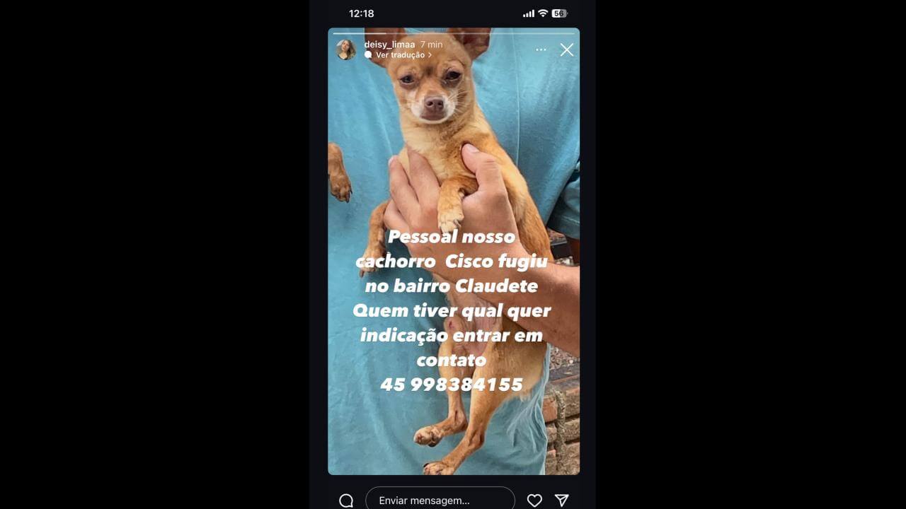 Cachorro Cisco desapareceu no bairro Claudete Cachorro Cisco desapareceu no bairro Claudete