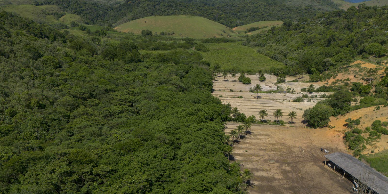 Atividades econômicas ilegais ampliaram desmatamento na Mata Atlântica Atividades econômicas ilegais ampliaram desmatamento na Mata Atlântica