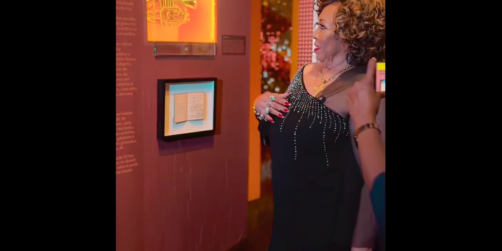 "Um marco na minha vida", diz Alcione sobre exposição em São Luís "Um marco na minha vida", diz Alcione sobre exposição em São Luís