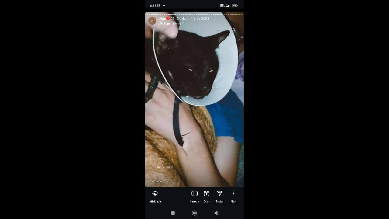 Gato Baruck desapareceu no bairro Floresta