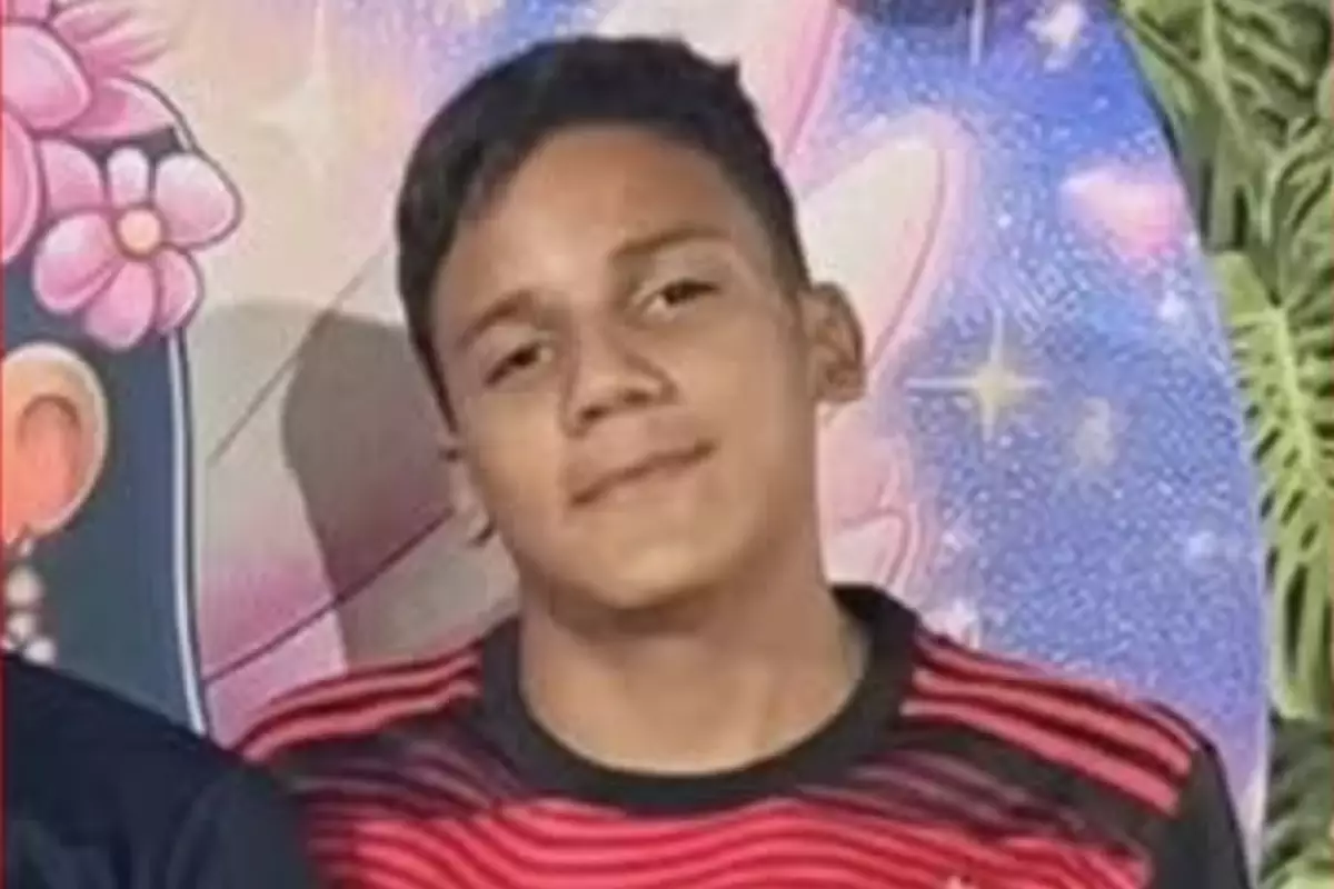 Estudante de 14 anos é atacado por enxame de abelhas e entra em coma
