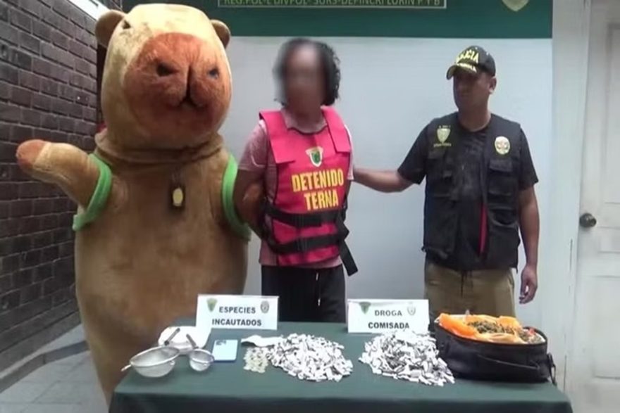 Surpresa de amor acaba em prisão: policial vestido de capivara captura traficante; veja vídeo