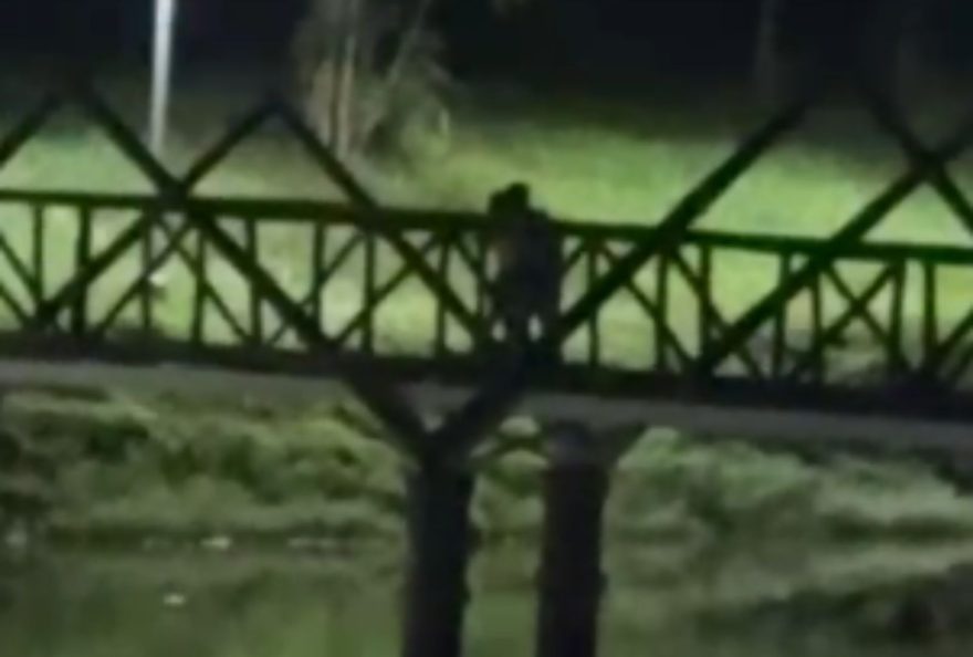 Vídeo: casal é flagrado fazendo sexo na ponte do Lago Aratimbó em Umuarama